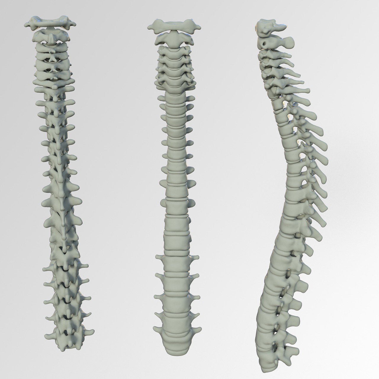 Spinal Screenings West Valley City, UT